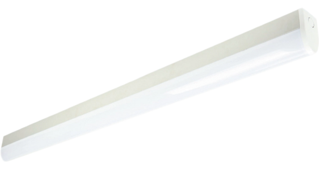 Xijie LED Teardrop Light