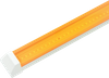 Lingli Yellow Keel Light