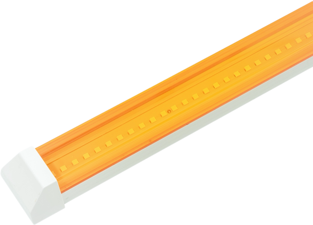 Lingli Yellow Keel Light